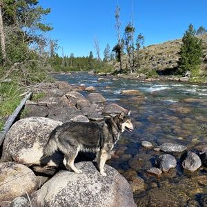 Meet your Posher, Ryan